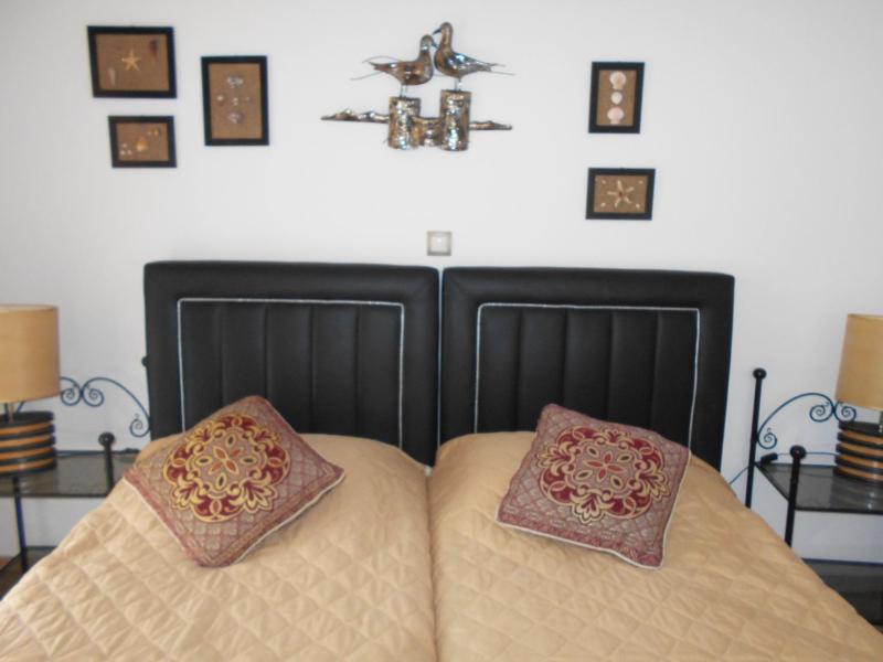 Twin Room with Pool View image 4
