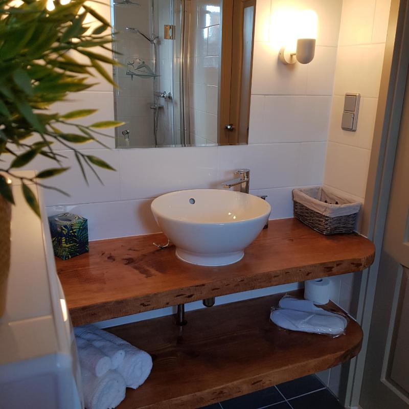Deluxe Double or Twin Room image 4