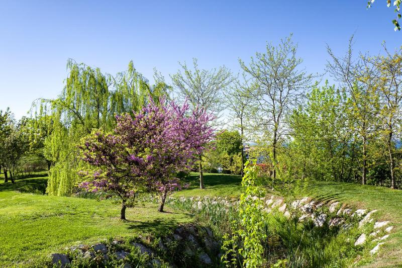 Parc Hotel Germano Suites & Apartments - image 22