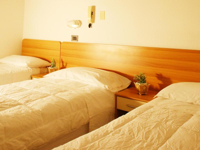 Hotel Zurigo - image 14
