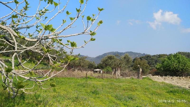 Holiday Home image 4