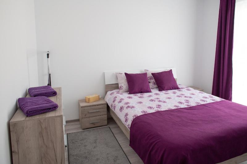One-Bedroom Apartment image 3