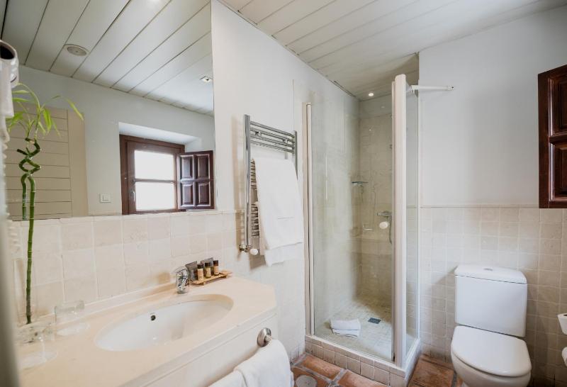 Superior Double or Twin Room image 4