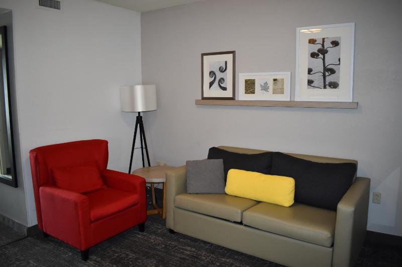 One-Bedroom King Suite - Non-Smoking image 3