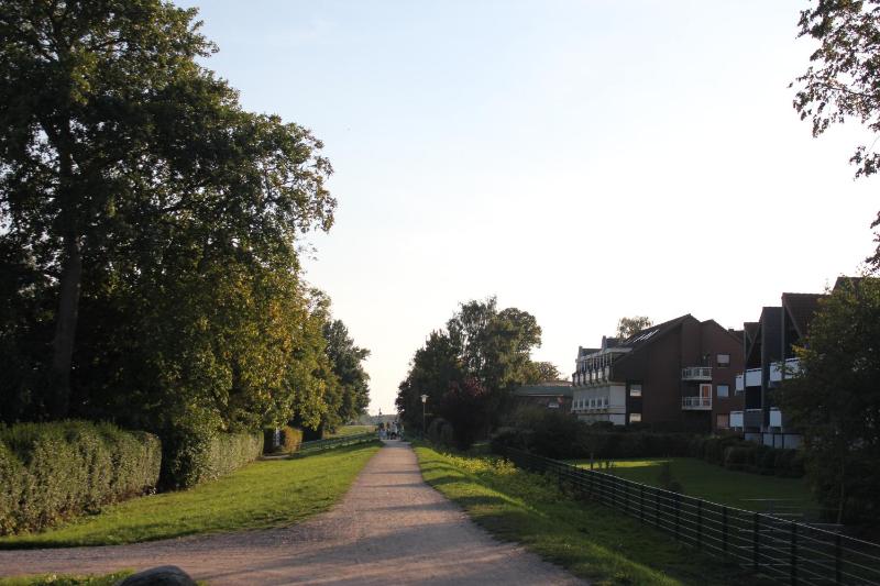 LieblingsPlatz im Sonnengarten - image 9