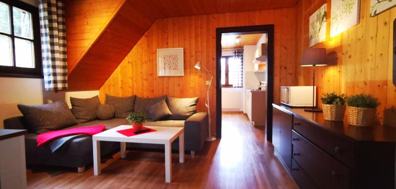 Standard One-Bedroom Apartment image 3