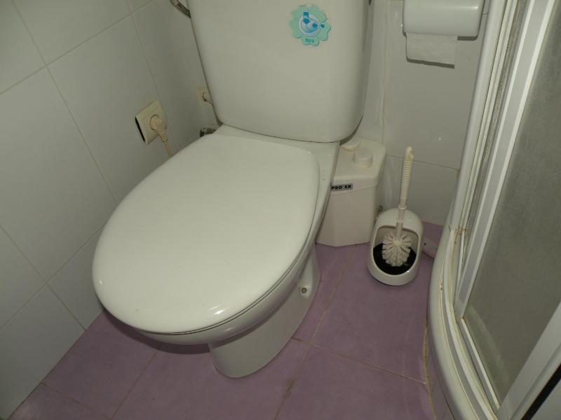 Eden Park II - Fincas Arena - image 20