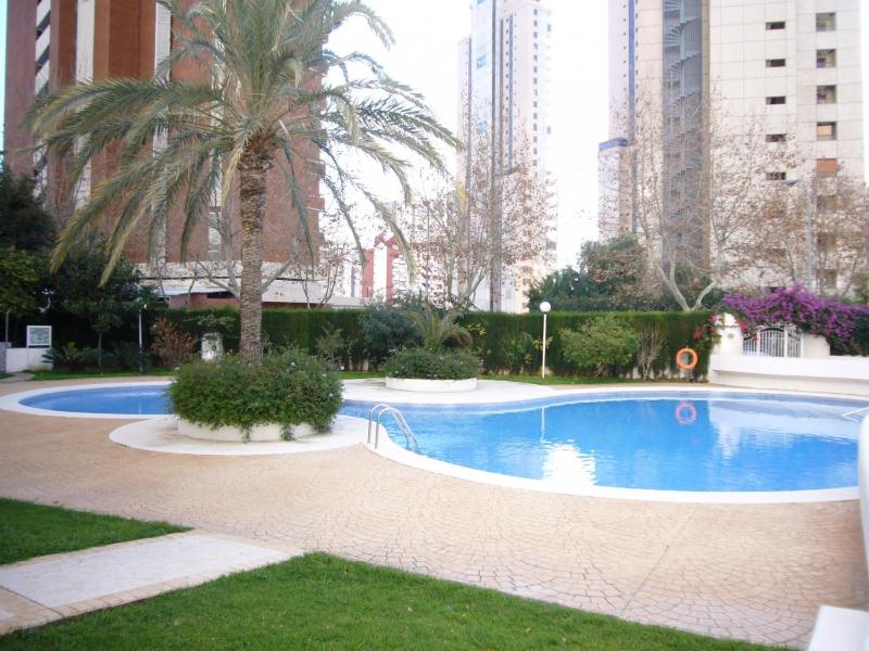 Parque Europa - Fincas Arena - image 21