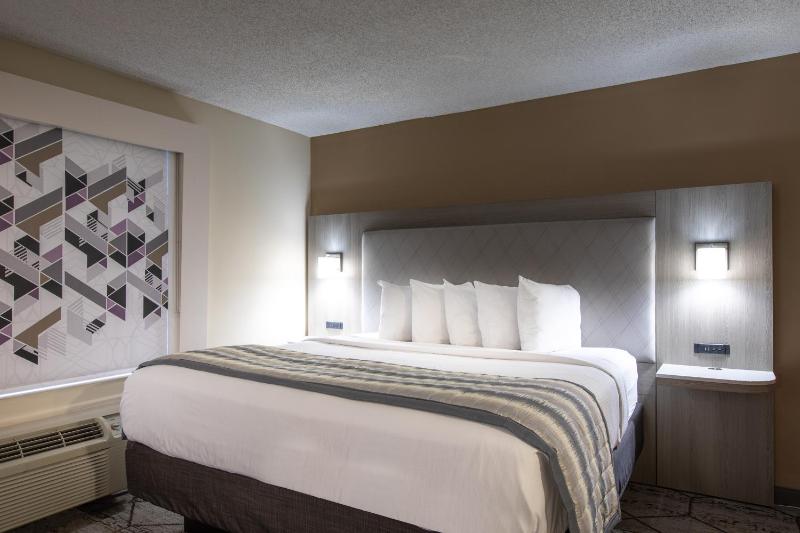 Deluxe King Suite image 4