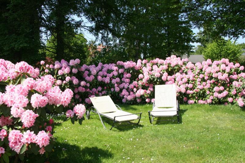Pension Villa Edelweiß - image 24