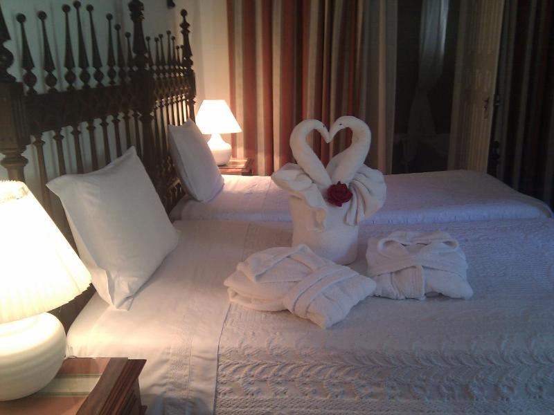 Superior Double or Twin Room image 4