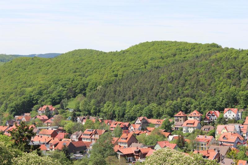 Villa Jagdhaus - image 9