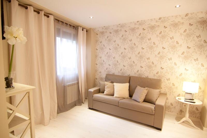 Large One-Bedroom Apartment image 4