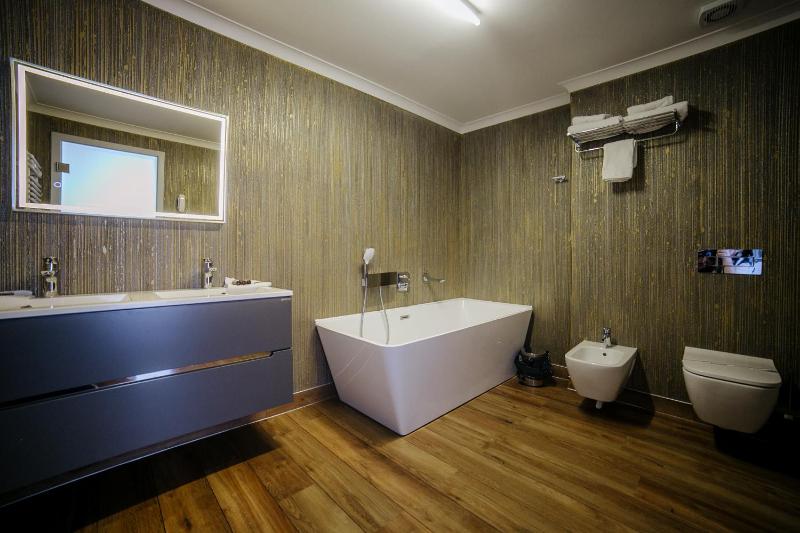 Deluxe One-Bedroom Apartment image 4