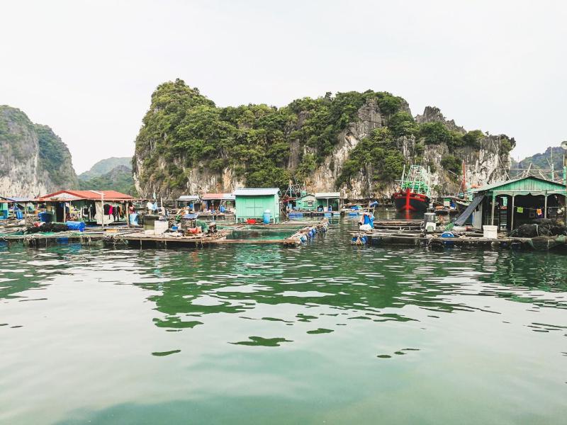 Heritage Line Ylang Cruise - Halong Bay & Lan Ha Bay - image 4