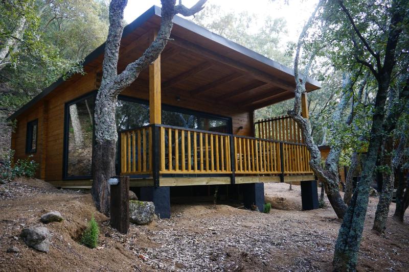 Deluxe Bungalow image 4
