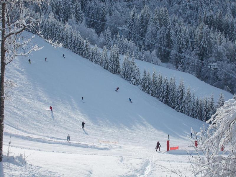 Chalet Jonquille - image 26
