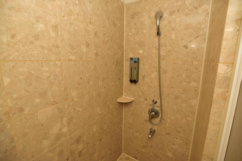 Luxury House - image 6