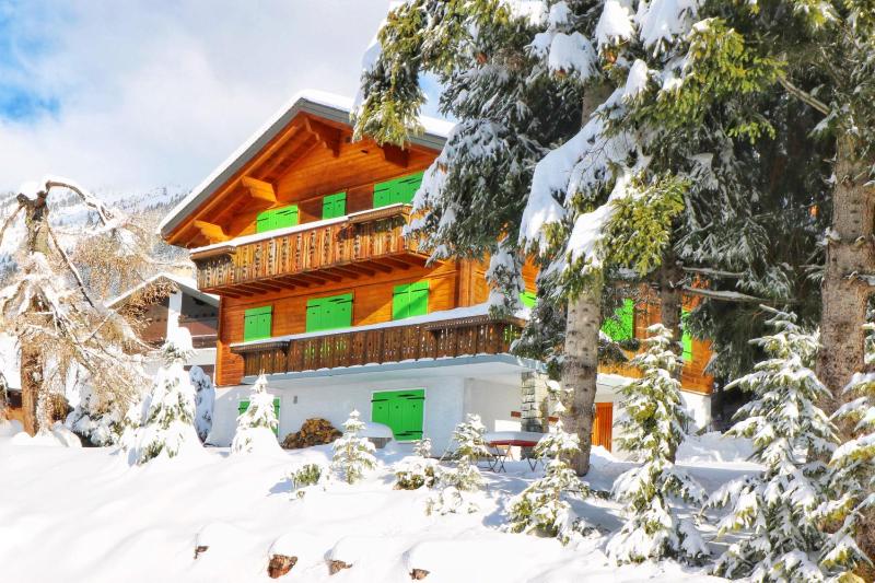 Superior Chalet image 2