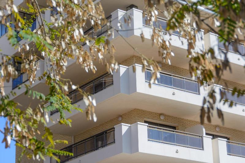 Sant Jordi Zeus Basic - image 1
