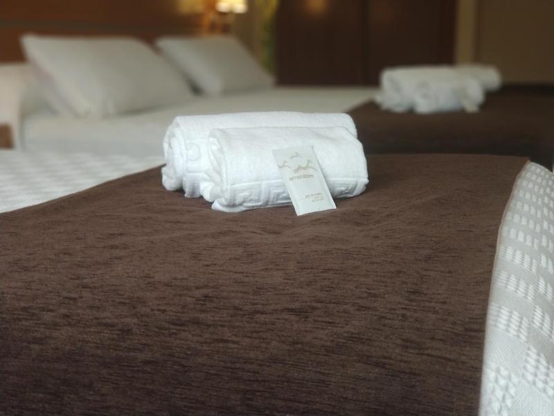 Double or Twin Room image 4