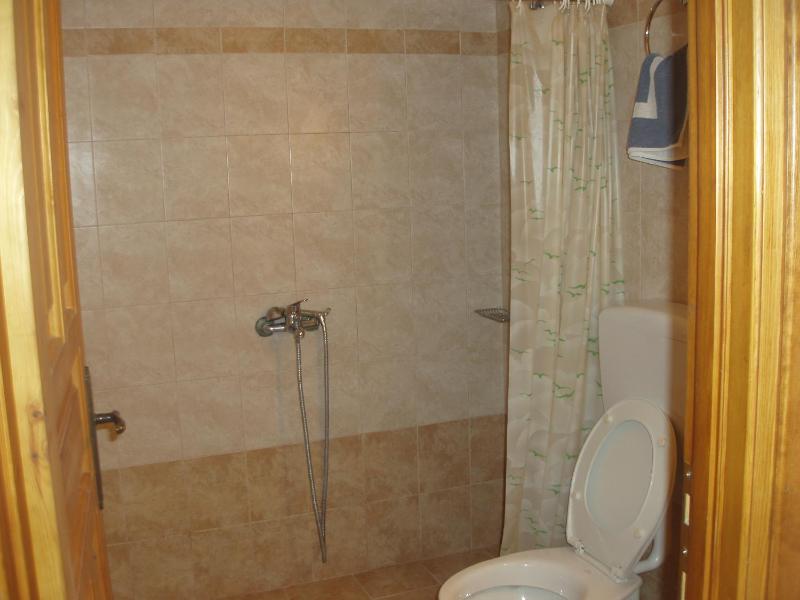 One-Bedroom Apartment image 4