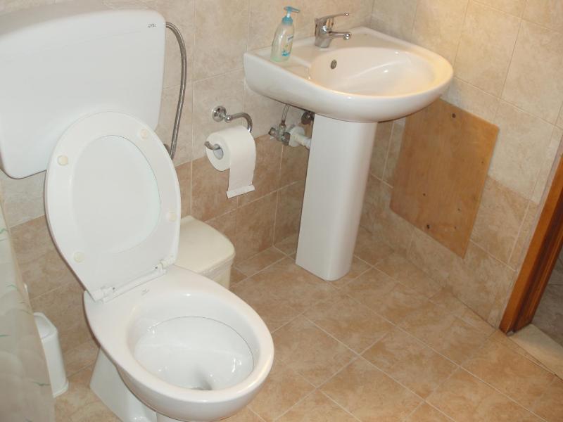 One-Bedroom Apartment image 3