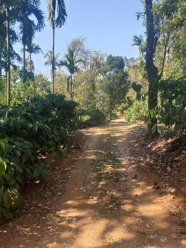 Sunset Valley Homestay - image 37
