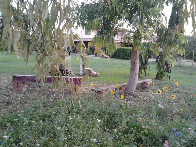 Agrib&B Lemontree Garde'N - image 30