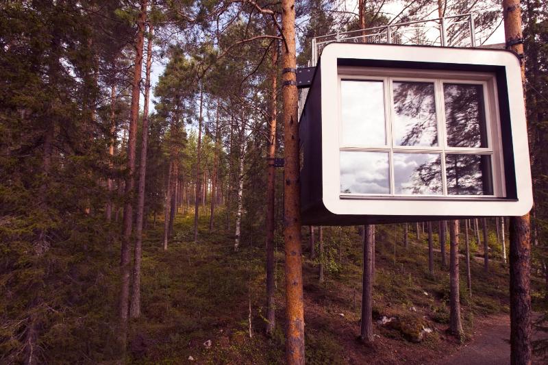 The Cabin image 2