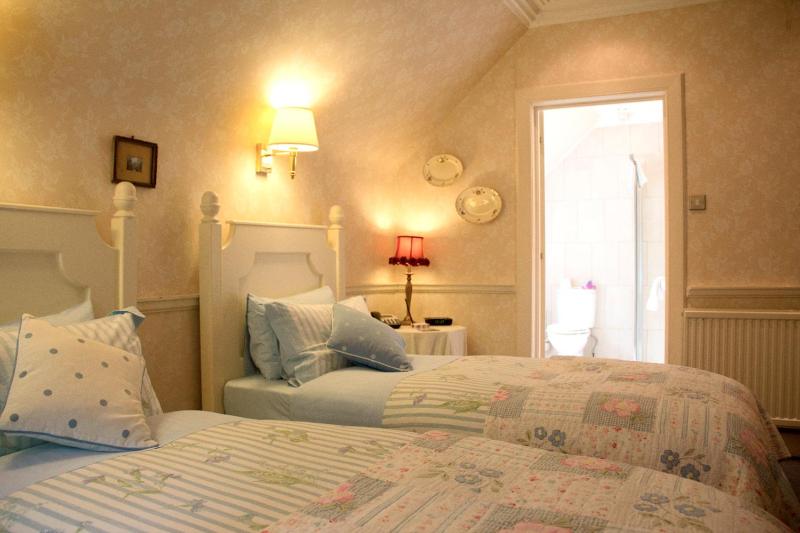 Superior Double or Twin Room image 4