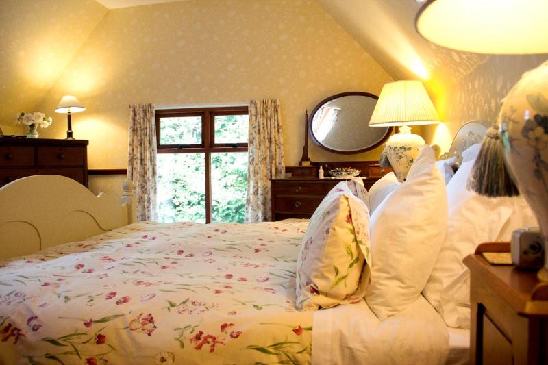 Superior Double or Twin Room image 1
