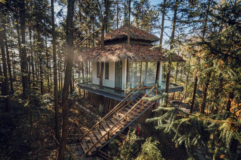 Evergreen Forest Retreat Zhangjiajie Near National Forest Park Avator Park Luxury Nature Escape Free Airport&Train Shuttle Service & Travel itinerary English Speaking Butler - image 47
