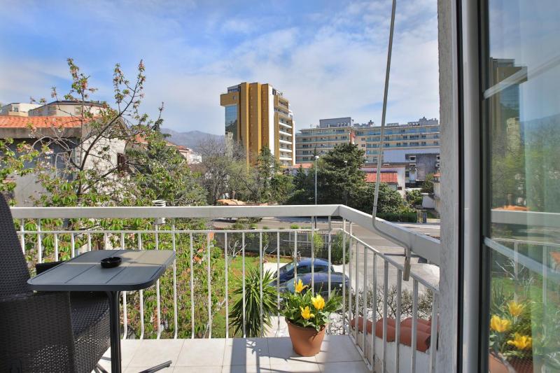 Studio with Terrace image 2