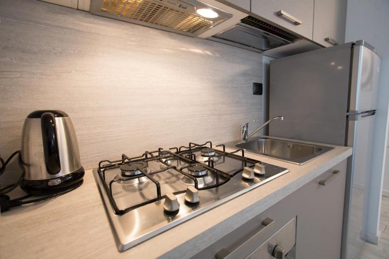 One-Bedroom Apartment image 2