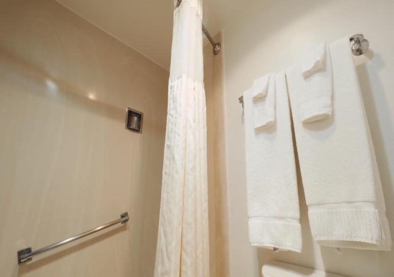 One-Bedroom Suite image 4