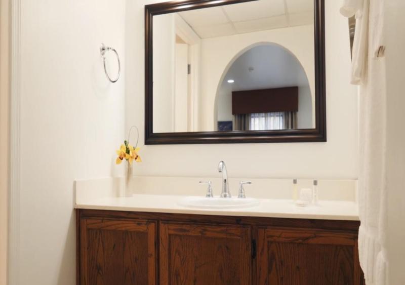 One-Bedroom Suite image 3