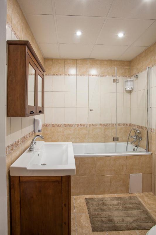 Air-Conditioned Apartment Šancová - Old Town - image 5