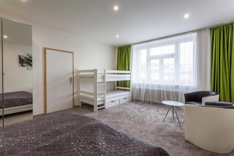 Air-Conditioned Apartment Šancová - Old Town - image 8