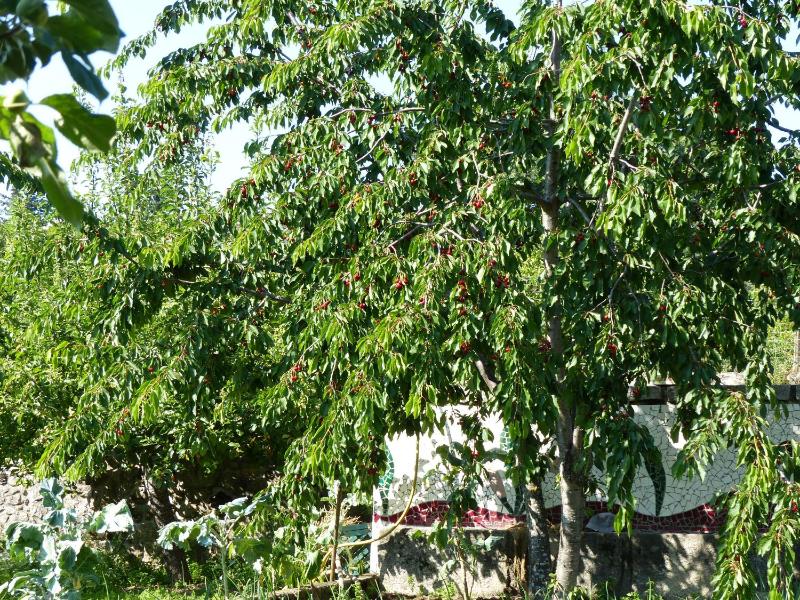 Studio Apartment (2 Adults) image 3