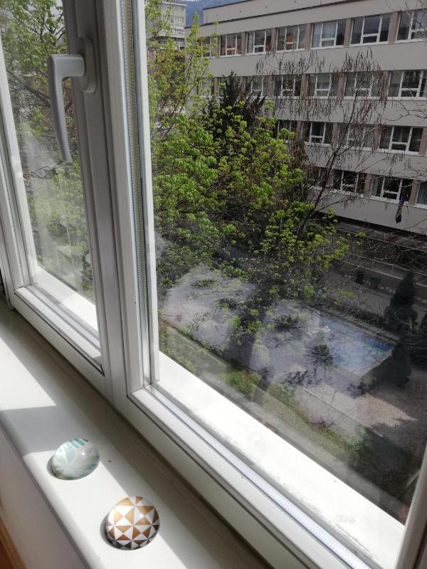 Studio Apartment image 4