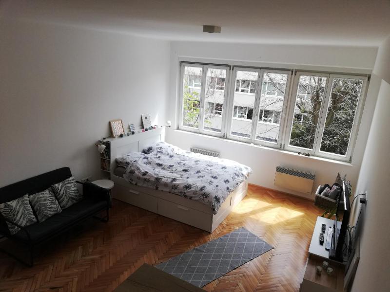 Studio Apartment image 3