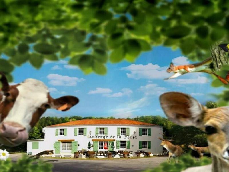 L'Auberge de la Forêt Images