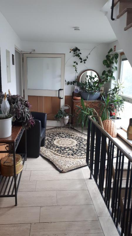 Family Room image 4