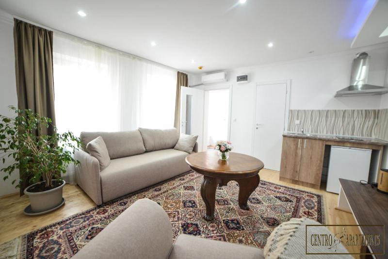 Studio Apartment image 4