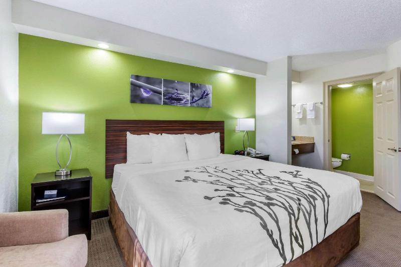 King Room - Non-Smoking image 1