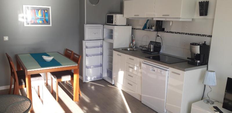 One-Bedroom Apartment image 4