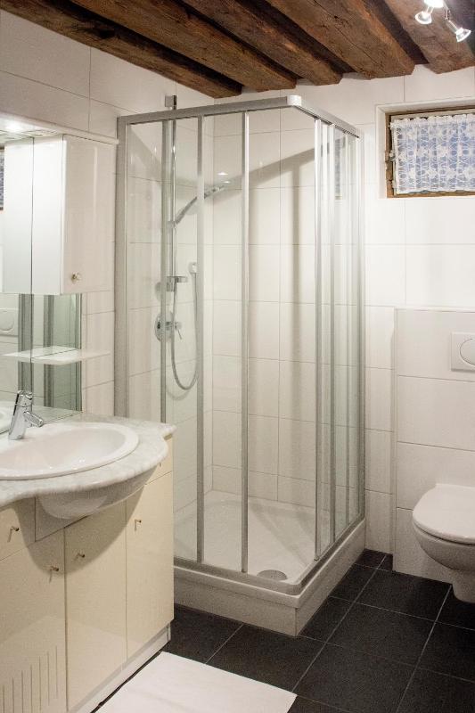 One-Bedroom Apartment image 3