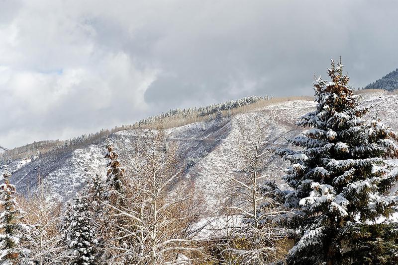 One-Bedroom Apartment image 3