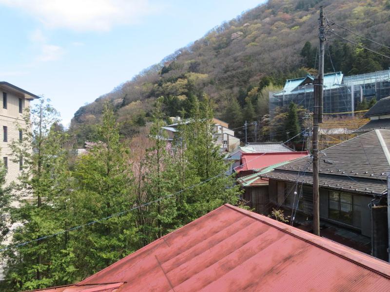 Hakone Miyanoshita Myojokan - image 14